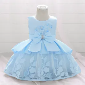 Baby Girl Birthday Party Dresses Infant Summer Embroidered Ball Gowns Princess Dresses