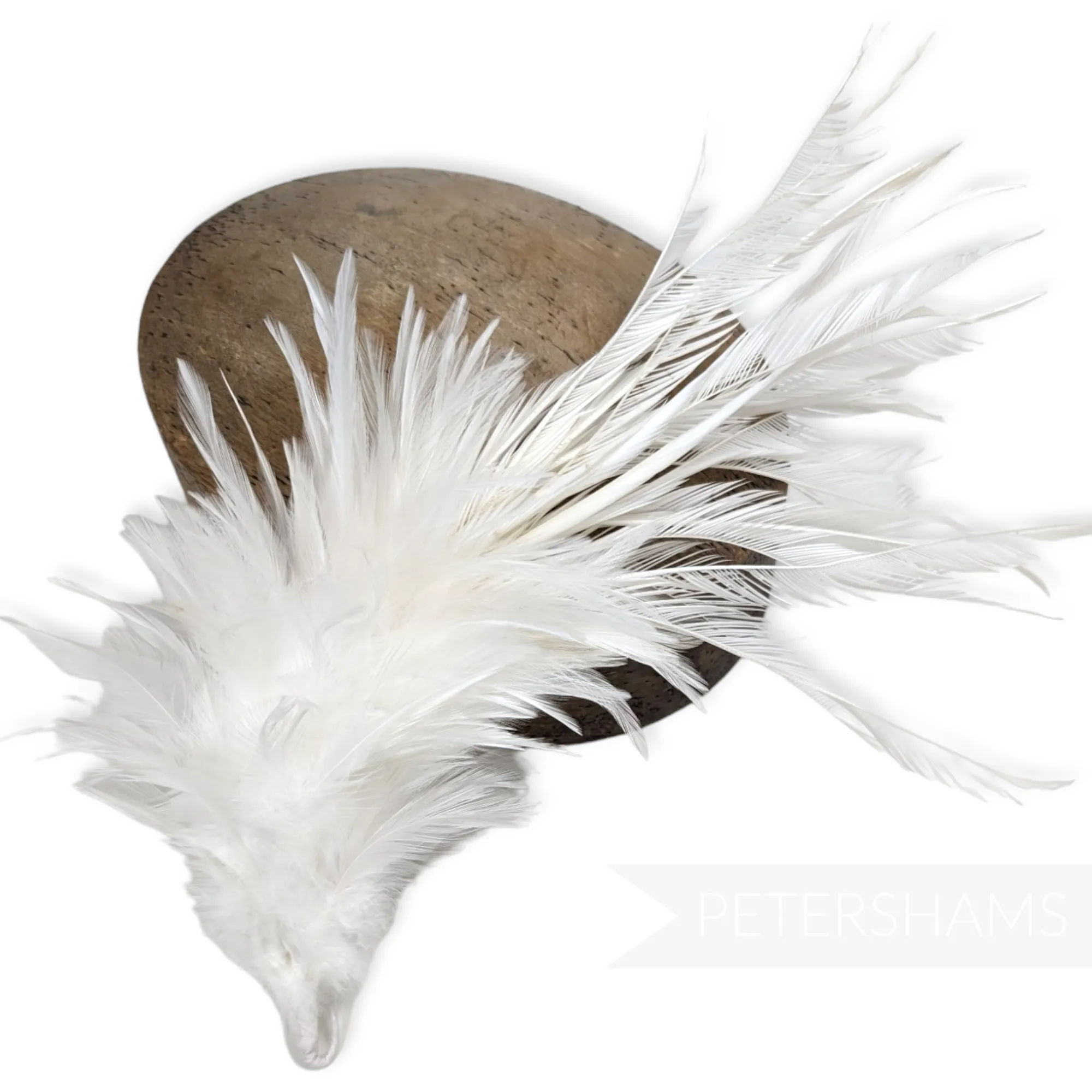 Large Zippered Goose Biot and Hackle Feather Hat Mount